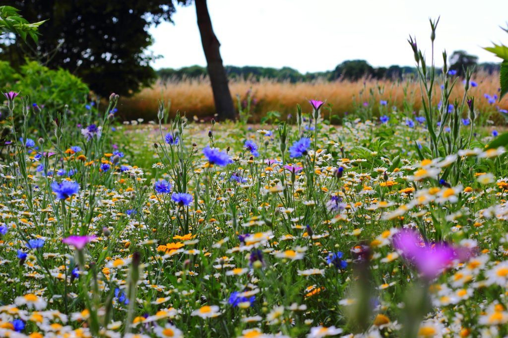 Paasbrunch plukbloemen uit pluktuin als aankleding